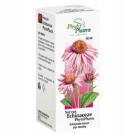 Succus Echinacea sok z jeżówki purpurowej 50 ml