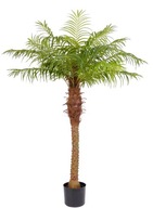 Umelá palma 2 metre v kvetináči Splendid