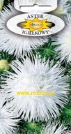 Semená Aster ihličnatý biely 1 g Roltico