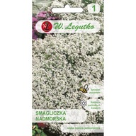 Prímorská šmýkačka biela 0,5g semená Legutko