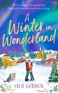A Winter in Wonderland: Escape to Lapland this