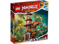 LEGO Ninjago Chrám dračej energie 71795