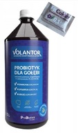 VOLANTOR PROBIOTYK dla GOŁĘBI Probiotics 1L
