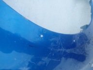 DACIA SANDERO STEPWAY II 12- fender right front