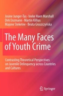 The Many Faces of Youth Crime: Contrasting
