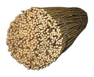 Tyczka bambusowa podpora 105cm 12-14mm