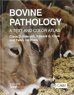 Bovine Pathology: A Text and Color Atlas Buergelt