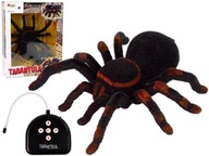 Tarantula čierna R/C