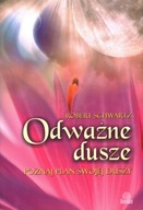 ODWAŻNE DUSZE POZNAJ PLAN SWOJEJ DUSZY - ROBERT SCHWARTZ