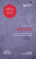 Big Data. Krótkie Wprowadzenie 30 - ebook