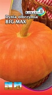 Tekvica Big Max 2g / L /
