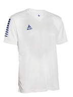 SELECT Koszulka PISA white/blue biało/niebieska - 8 Lat