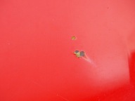 Cofano AUDI A3 8P LIFT LY3J 08-12R