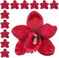 Storczyk cymbidium główka Kwiat Dk.Red 12 szt
