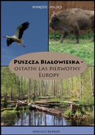 Puszcza Białowieska - Ostatni las pierwotny Europy - Wojciech Biedroń | Ebo