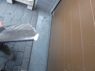 VW EOS trunk door boot boot door