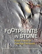 Footprints in Stone: Fossil Traces of Coal-Age