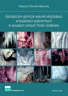 GEOLOGICZNO-GÓRNICZE WARUNKI EKSPLOATACJI W..