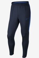 Tréningové nohavice Nike DRY PANT 807684-452 veľ. L