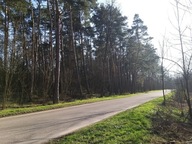 Działka, Mariańskie Porzecze, 1200 m²