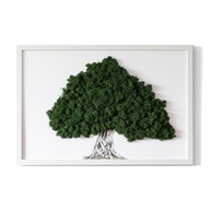 Obraz mach Strom s koreňmi na bielom pozadí 60x40