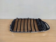 BMW 7 G11 G12 left kidney grille grid below KAMERE IDEALNA