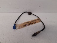 Sonda BV6196444BA Ford C-MAX