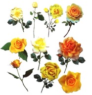 Naklejki scrapbooking 20 szt/kpl róże kwiaty różyczki