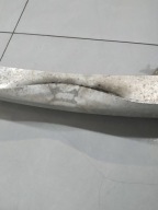 Traversa Paraurti posteriore Audi A7 e (2010-2018) 4G