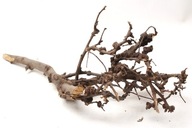 Naturalny Korzeń Drift Branch Bonsai do Akwarium Terrarium 32x12x11cm B6