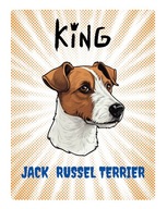 Dekoratívna tabuľa Bertoni: King Jack Russell Terrier