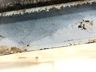 moulding threshold BMW 3 GT F34 51778057147