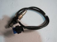 SONDA NOX FORD KUGA MK3 LX61-9G444-BB
