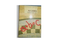 Algebra - Samuel Steckel
