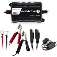 Nabíjačka usmerňovač everActive CBC-1 1 A