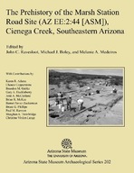 The Prehistory of the Marsh Station Road Site (AZ