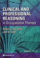 Clinical and Professional Reasoning in