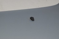 bonnet VOLVO S80 and