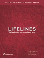 Lifelines: The Resilient Infrastructure
