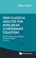 Semi-classical Analysis For Nonlinear