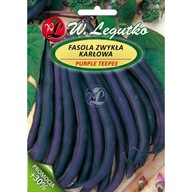 Fazuľa šp. Purple Teepee 40g fialová trpasličia