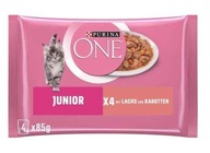 PURINA ONE JUNIOR Łosoś z marchewką 4x 85g z Niemiec 24h