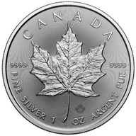 100 x Kanadyjski Liść Klonowy 1 uncja Srebra 2024