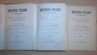 Historya Polska w Ameryce t 1-12 - Kruszka