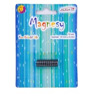 MAGNESY ferrytowe - 10mmx3mm - 10szt MAGNES