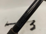 TESLA MODEL 3 2022r damper bonnets left right komplet JLK02-1645989-00-A