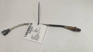 SONDA 0258010110 RENAULT KANGOO II