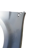 fender right front RENAULT CLIO III 195