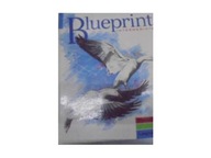 Blueprint intermediate podrecznik + cwiczenia