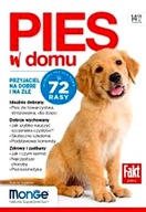 PIES W DOMU